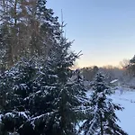 Waldwerk Wurlgrund