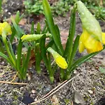 Waldwerk Wurlgrund