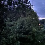 Waldwerk Wurlgrund Aparthotel