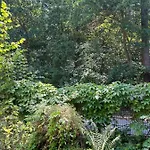Waldwerk Wurlgrund Aparthotel Lychen