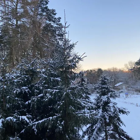 Waldwerk Wurlgrund