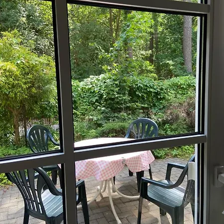 Waldwerk Wurlgrund 4*