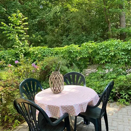 Waldwerk Wurlgrund 4* Lychen