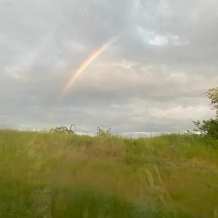 Waldwerk Wurlgrund 4* Lychen