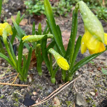 Waldwerk Wurlgrund