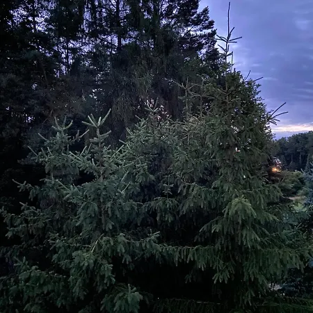 Waldwerk Wurlgrund Apartmanhotel