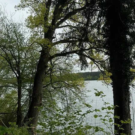 Waldwerk Wurlgrund Aparthotel Lychen