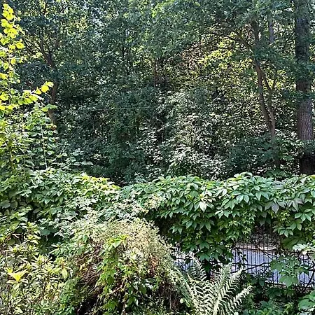 Waldwerk Wurlgrund Lychen