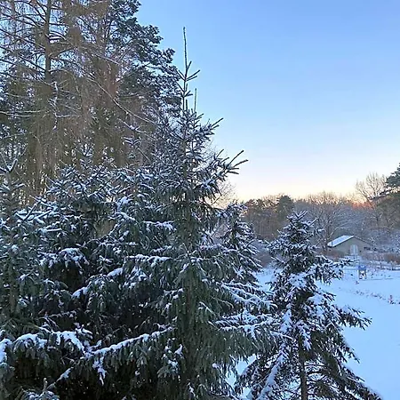 Waldwerk Wurlgrund 4* Lychen