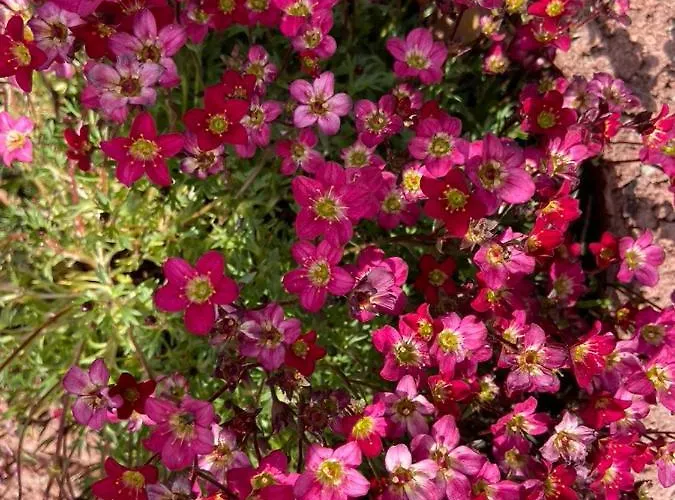 Waldwerk Wurlgrund 公寓式酒店