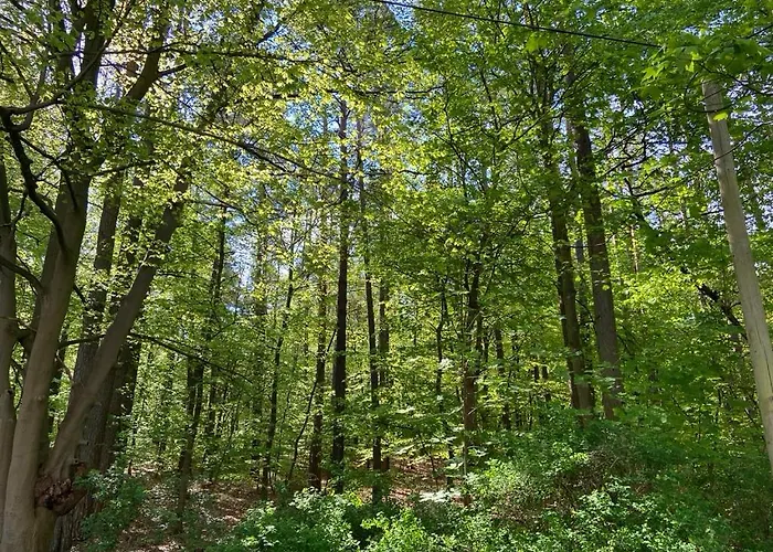 公寓式酒店 Waldwerk Wurlgrund