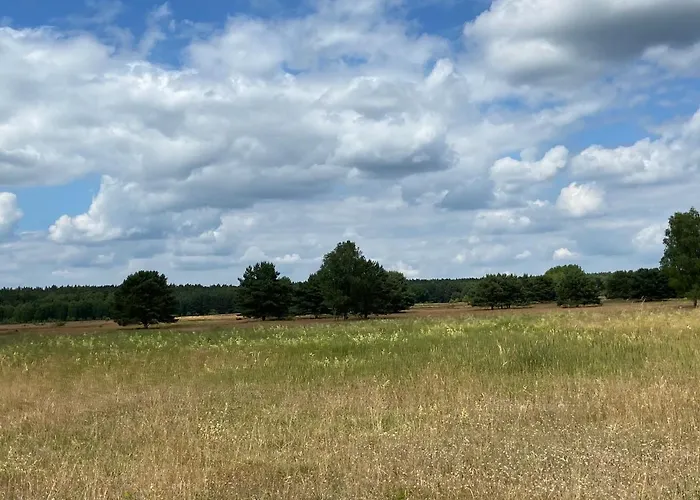 Waldwerk Wurlgrund Aparthotel