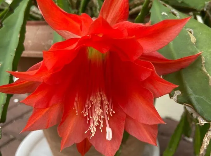 Waldwerk Wurlgrund 公寓式酒店