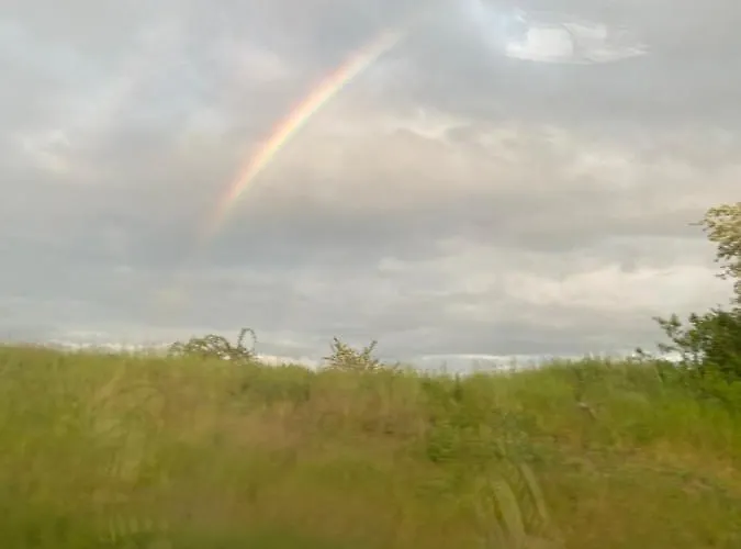 Waldwerk Wurlgrund 4* Lychen