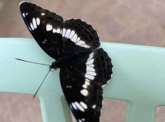 Waldwerk Wurlgrund 4* Lychen