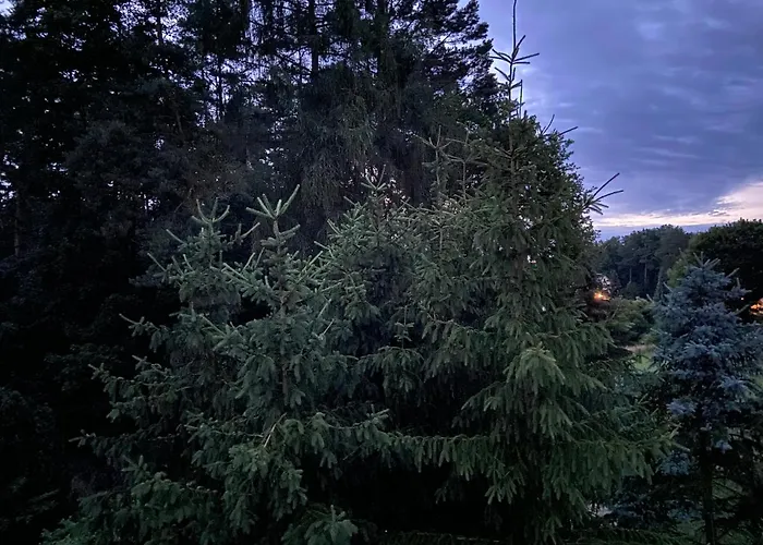 Waldwerk Wurlgrund Aparthotel