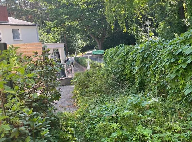 Aparthotel Waldwerk Wurlgrund 4*