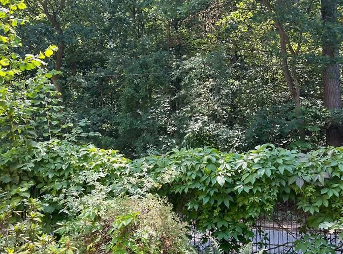 Waldwerk Wurlgrund Aparthotel Lychen