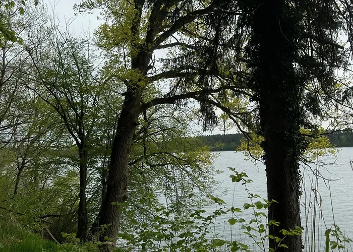 Waldwerk Wurlgrund 公寓式酒店 利兴