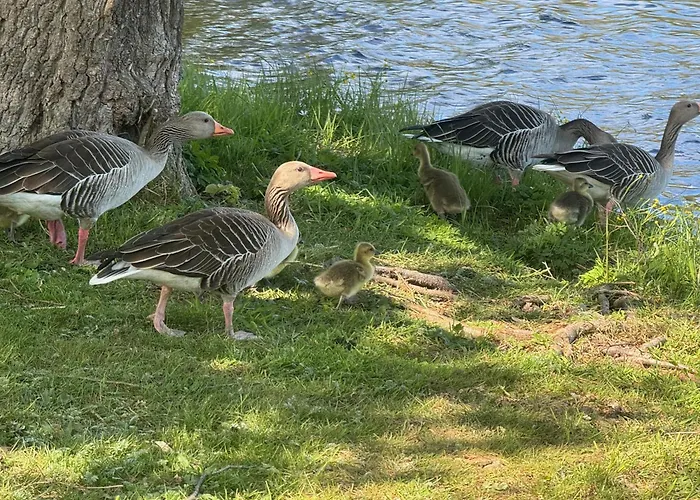 Waldwerk Wurlgrund 4*